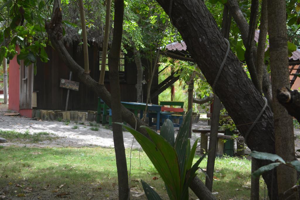 Imbassai Pousada Hostel Lujimba Екстериор снимка